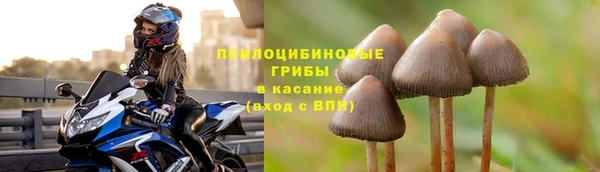 apvp Белоозёрский