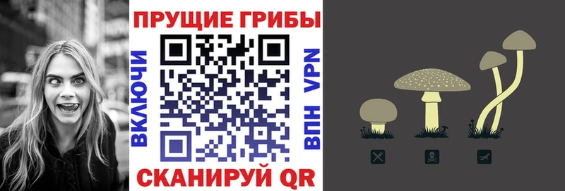 Галлюциногенные грибы мицелий  Краснослободск 